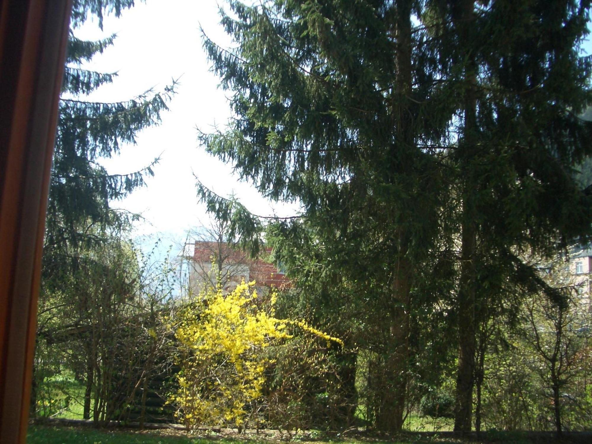 Gartenapartment Zell am See Buitenkant foto