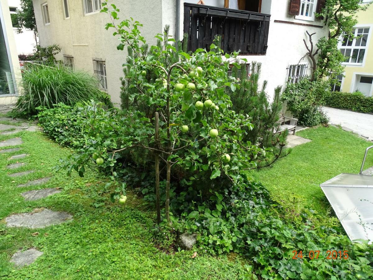 Gartenapartment Zell am See Buitenkant foto